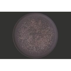 Тарелка d=280 мм, Lunar Ocean, форма Хюгге, Bonna 