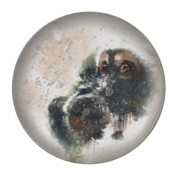 Тарелка d=270 мм, Savanna, форма Гурмэ, Bonna