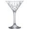 Набор из 6-ти бокалов для мартини 215 мл, d=115 мм, h=173 мм, поликарбонат, Infinityglass, Bonna